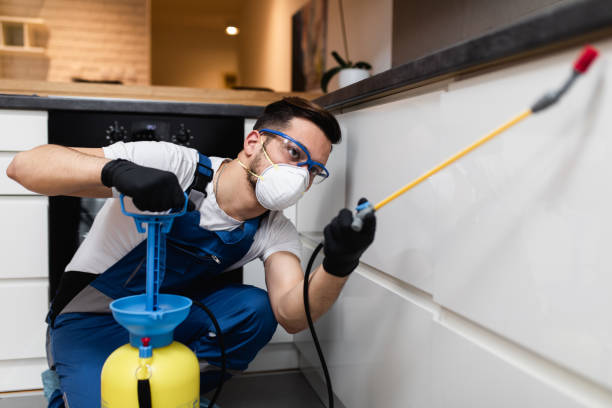 Best Flea Control Services  in Smyrna, GA
