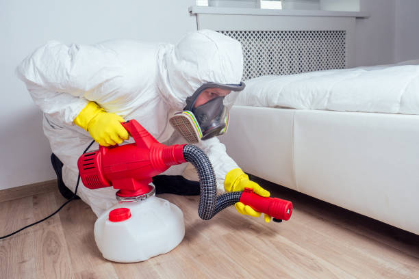 Best Bed Bug Extermination  in Smyrna, GA