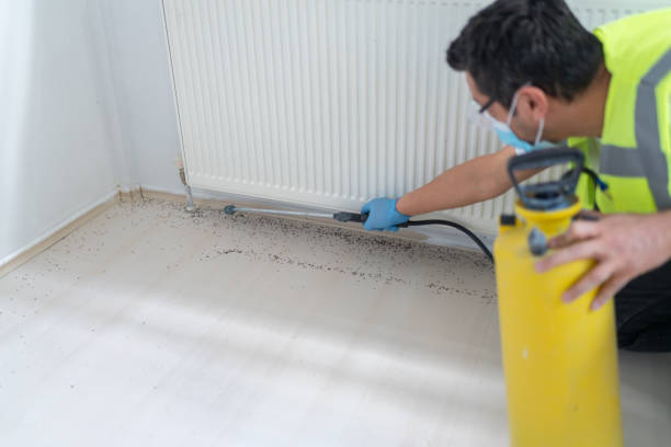 Best Pest Control Near Me  in Smyrna, GA