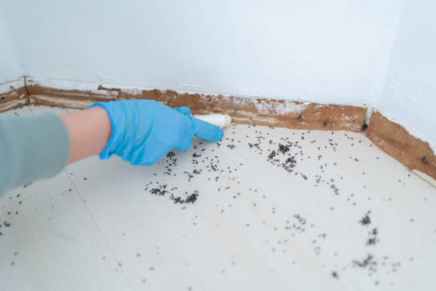 Best Wasp Removal Services  in Smyrna, GA