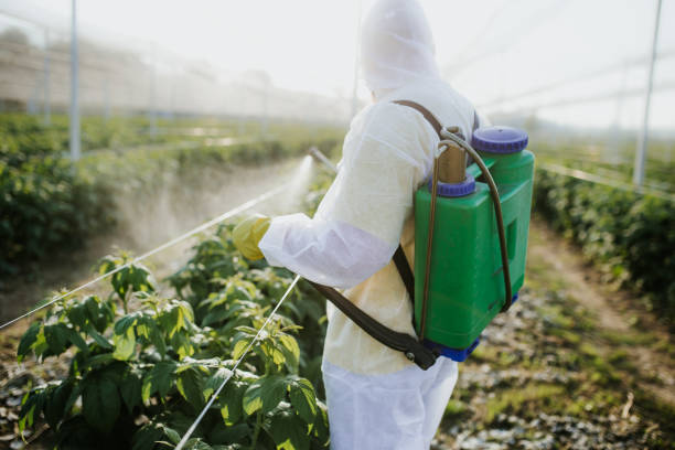 Best Pest Prevention Services  in Smyrna, GA